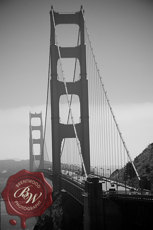 Travel  091