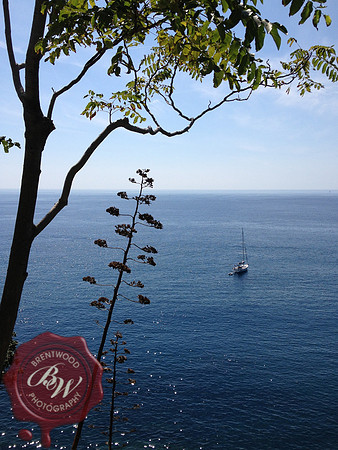 Travel  193