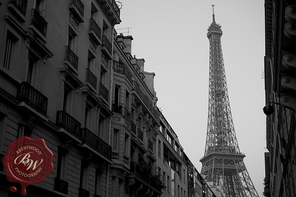 Travel  202