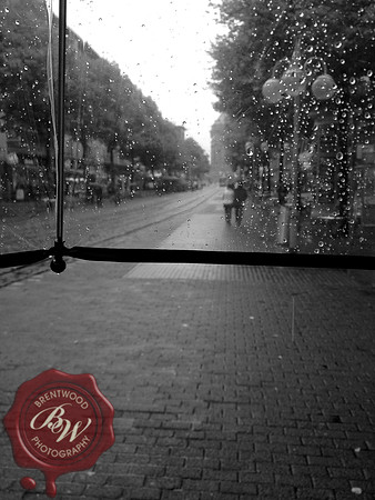 Travel  219