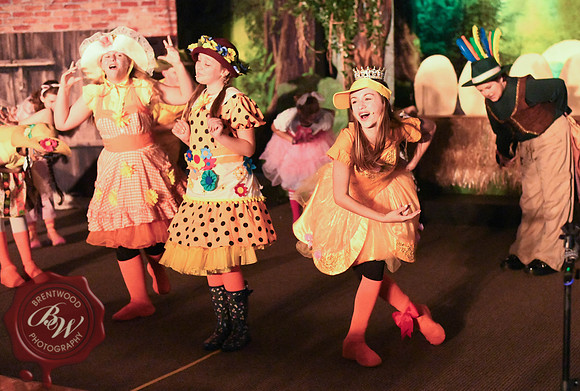 honk sneaks (4 of 14)