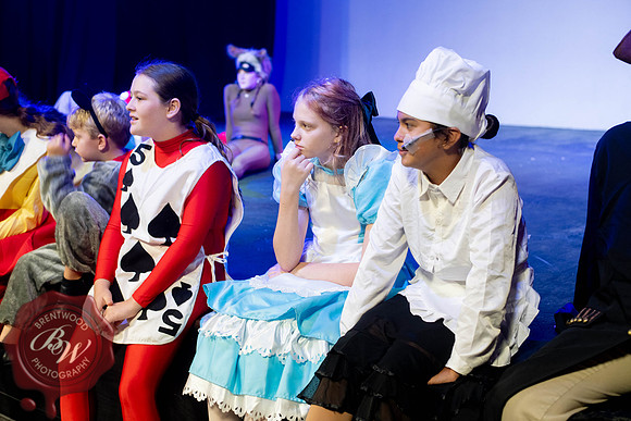 AliceWeb-6
