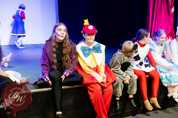 AliceWeb-9
