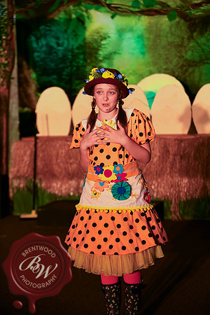 HonkWeb-73