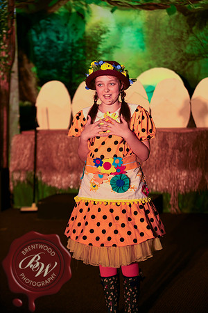 HonkWeb-74
