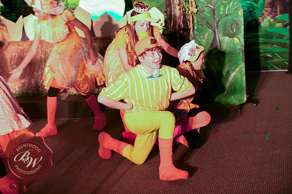 HonkWeb-93