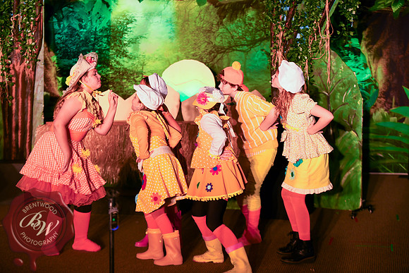 HonkWeb-107