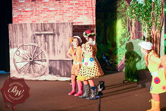 HonkWeb-109