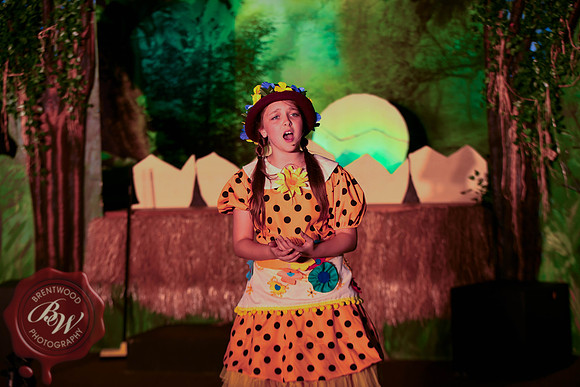 HonkWeb-131