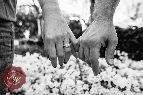 DeniseEngagement2023-31-2