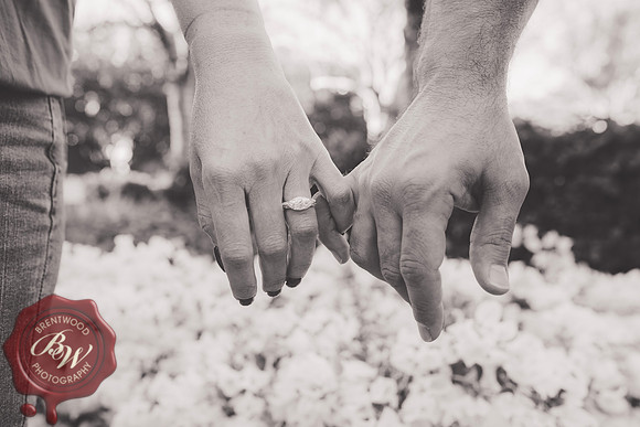 DeniseEngagement2023-31-3
