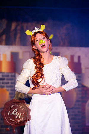 ShrekSneaks-1039